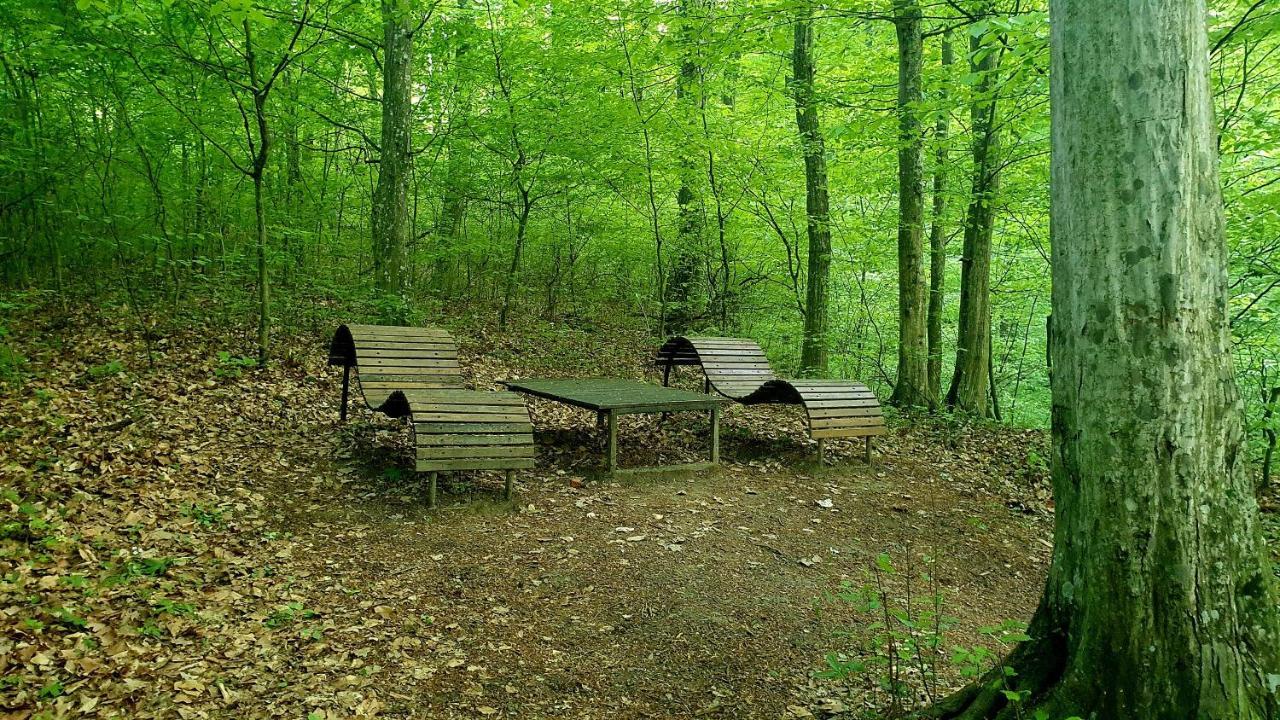 잘라카로쉬 Hillside Garden Apartman 아파트 외부 사진